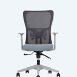Lumbar Gri Çalışma