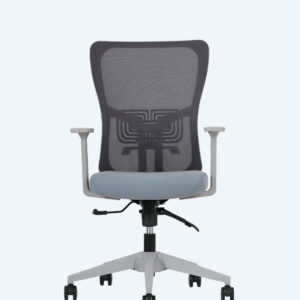Lumbar Gri Çalışma