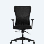 Lumbar Siyah Çalışma