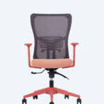 Lumbar Somon Çalışma