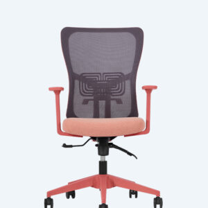 Lumbar Somon Çalışma
