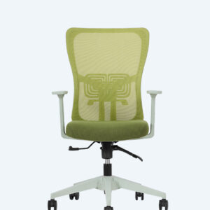Lumbar Yeşil Çalışma