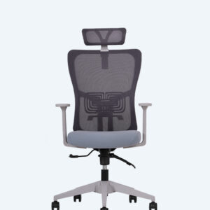 Lumbar Gri Yönetici