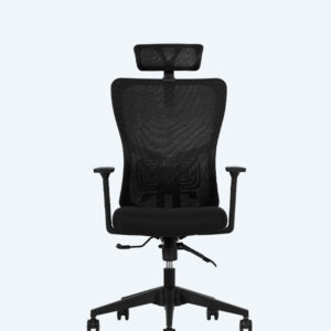 Lumbar Siyah Yönetici