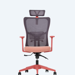Lumbar Somon Yönetici