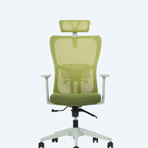 Lumbar Yeşil Yönetici